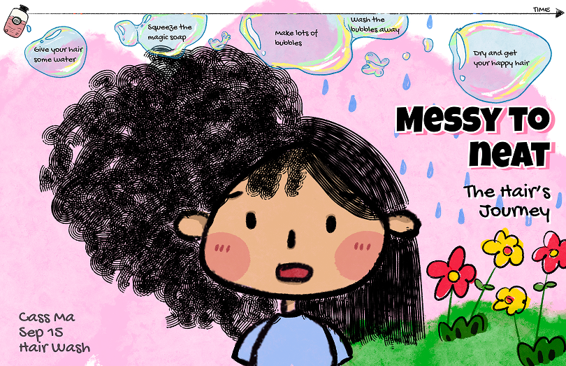 Hair Wash Mental Model poster
