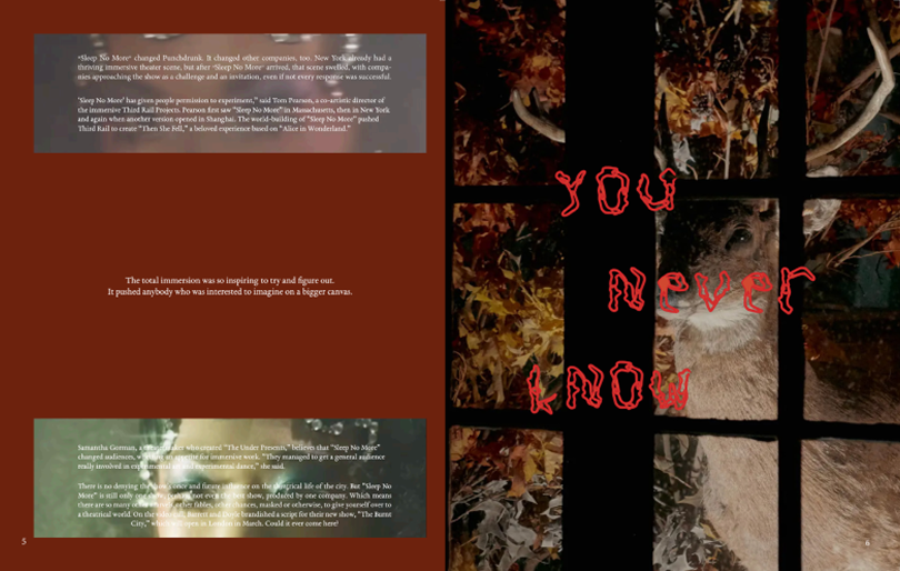 Sleep No More Zine Page2
